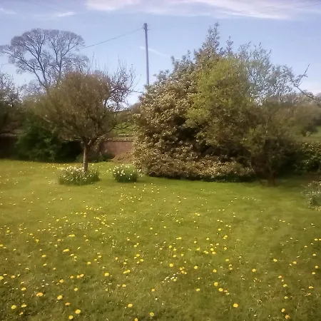 Well Green Homestay *