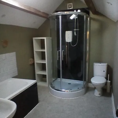 Well Green Homestay *